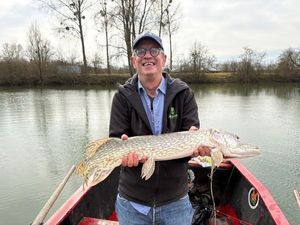Northern Pike
