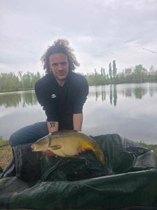 Mirror Carp