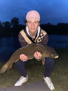 Mirror Carp