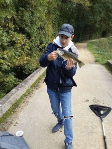 Largemouth Bass