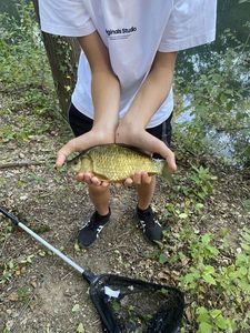 Leather Carp