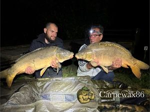 Mirror Carp
