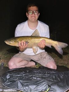 Grass Carp