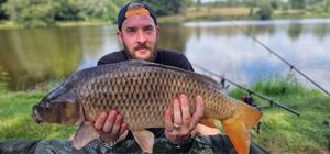 Common Carp