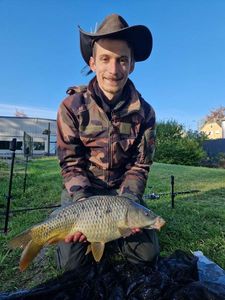 Common Carp