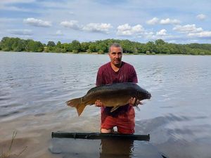Mirror Carp