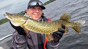 Northern Pike