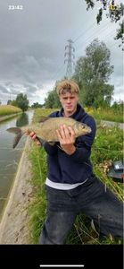 Common Bream