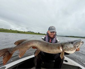 Northern Pike