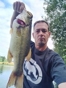 Largemouth Bass