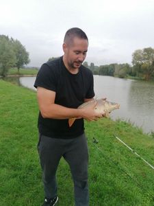 Grass Carp
