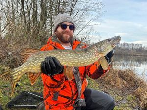 Northern Pike