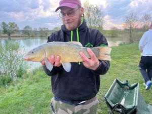 Tench
