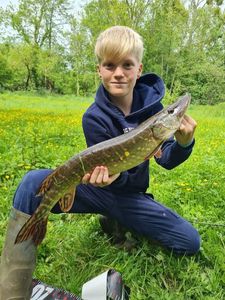 Northern Pike