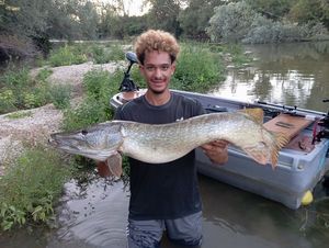 Northern Pike
