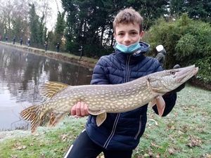 Northern Pike