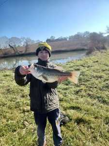 Smallmouth Bass
