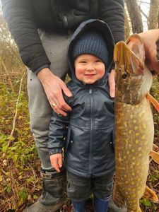 Northern Pike