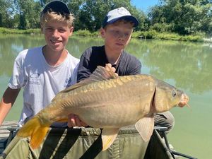 Mirror Carp