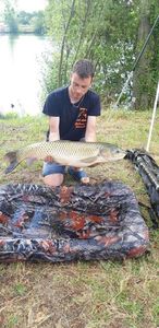 Grass Carp