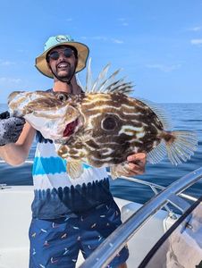 John Dory