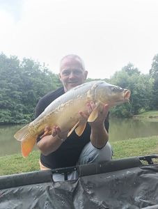 Mirror Carp
