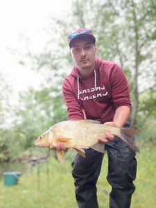Common Bream