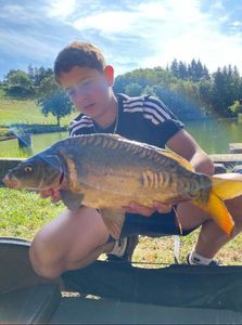 Mirror Carp