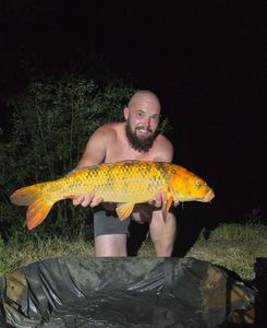 Koï Fish