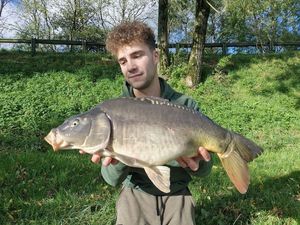 Mirror Carp