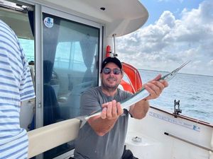 Garfish