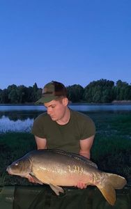 Mirror Carp