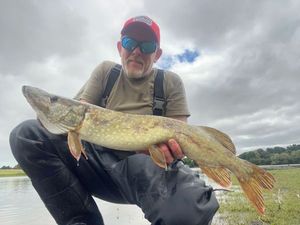 Northern Pike