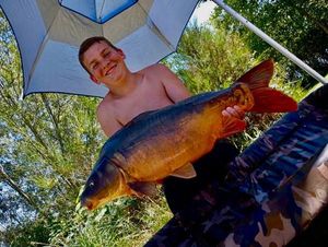 Mirror Carp