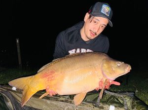 Mirror Carp