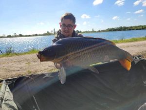 Common Carp