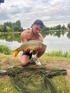 Common Carp