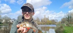 European Perch