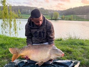 Mirror Carp