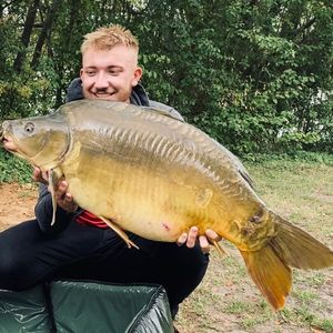 Mirror Carp