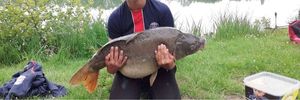 Leather Carp