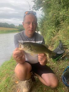 Largemouth Bass