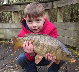Common Carp