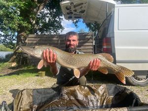 Northern Pike