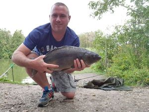 Mirror Carp