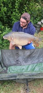 Mirror Carp