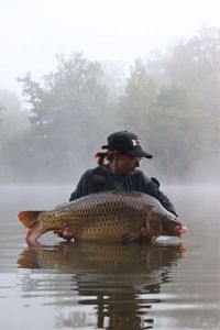 Common Carp