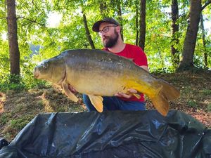 Mirror Carp