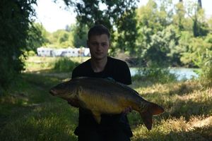 Mirror Carp