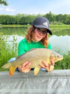 Common Carp